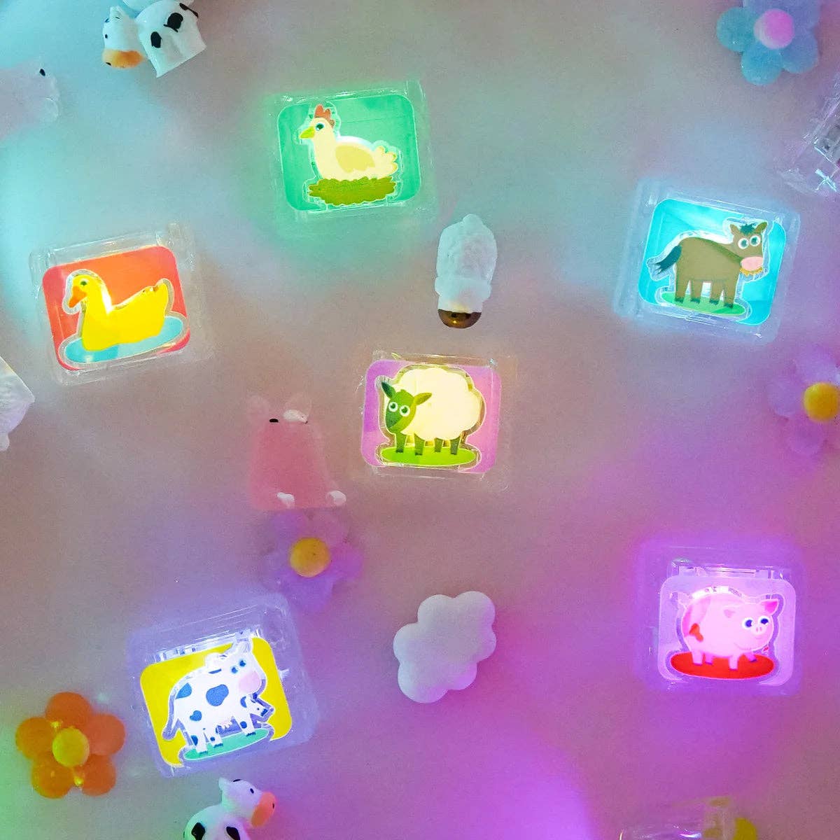 Jellystone Limited Edition Light-Up Cubes, 6-Pack Zoo Animals