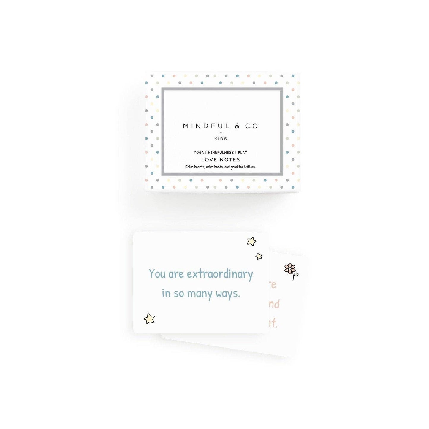 Mindful & Co Lunch Box Love Notes