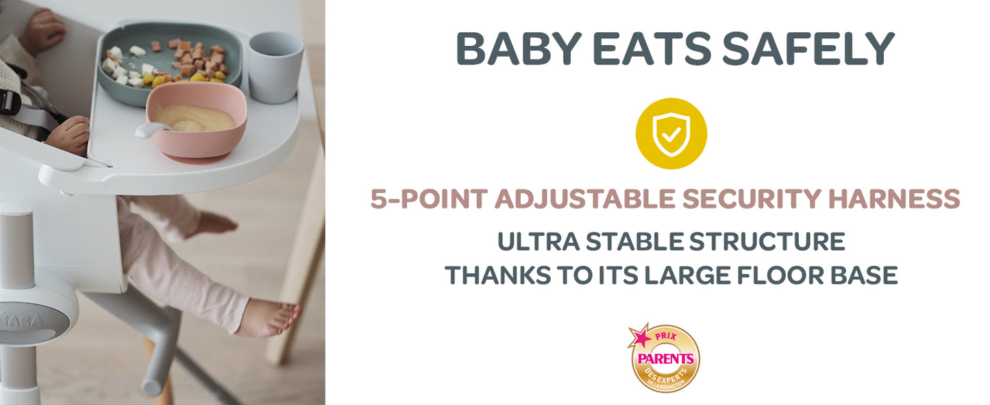 Beaba Up & Down Highchair
