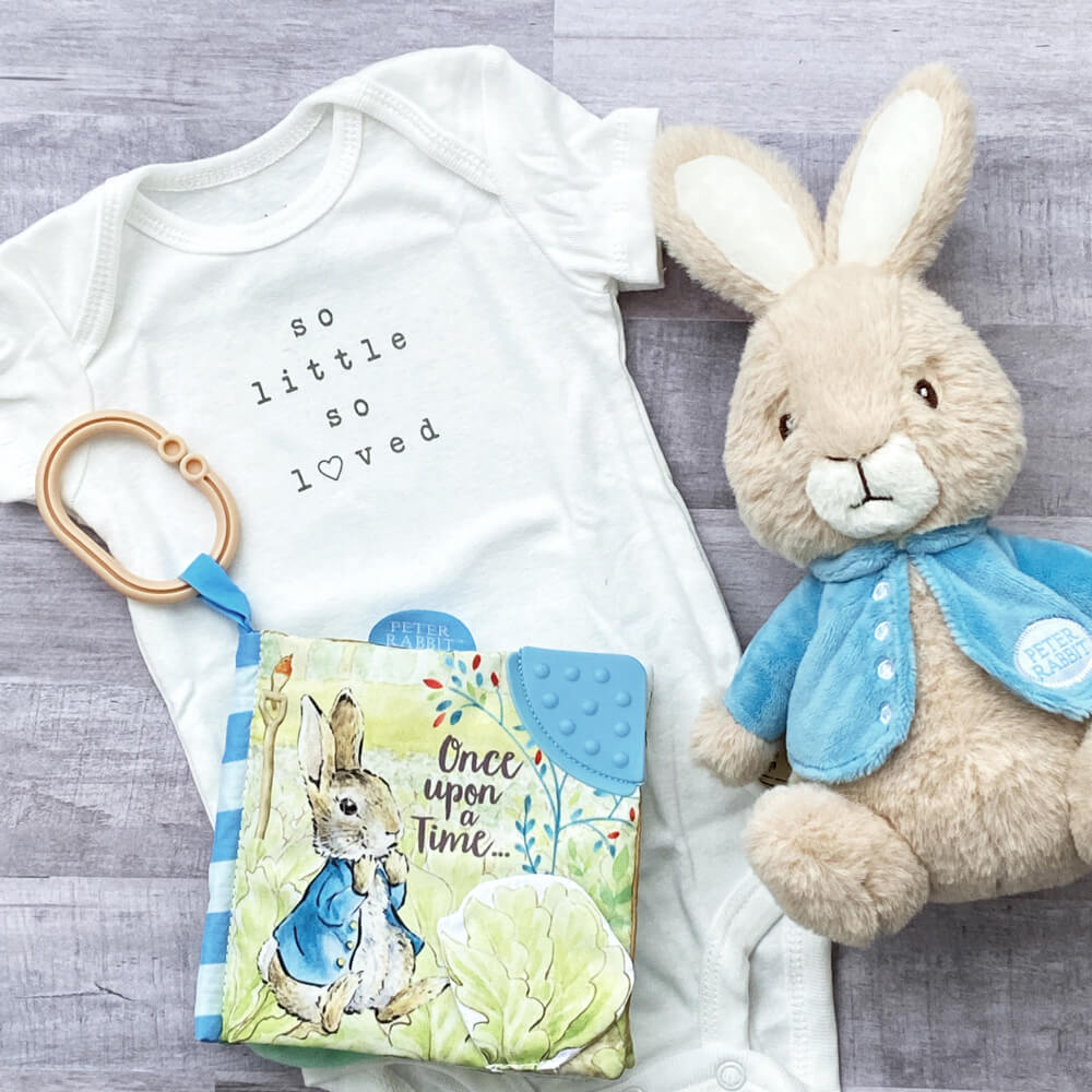 PETER RABBIT ONCE UPON A TIME SOFT BOOK
