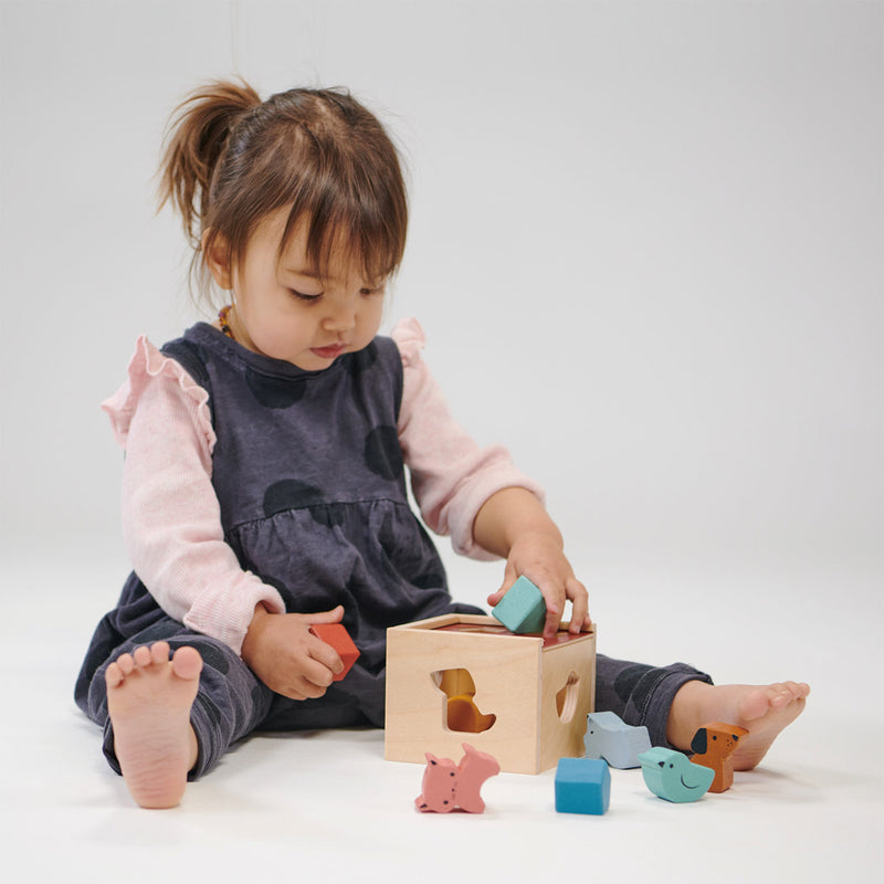 Wooden Bambino Shape Sorting Cube