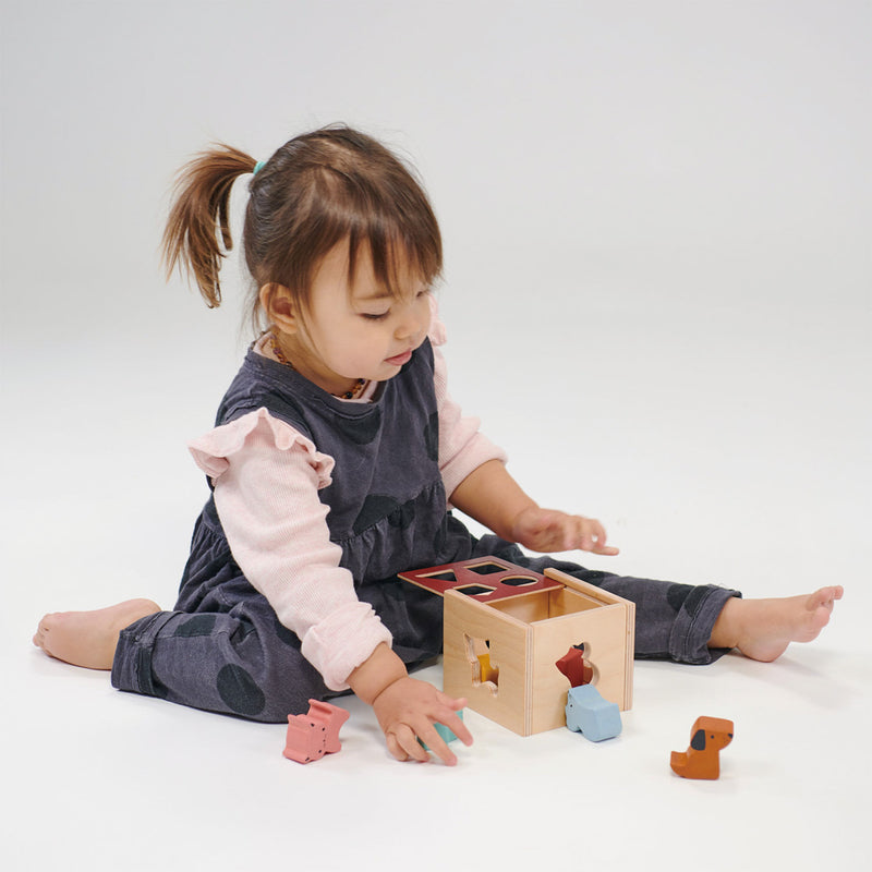 Wooden Bambino Shape Sorting Cube