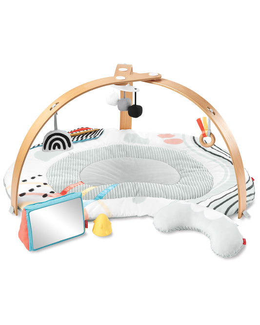 Discoverosity Deluxe Activity Gym
