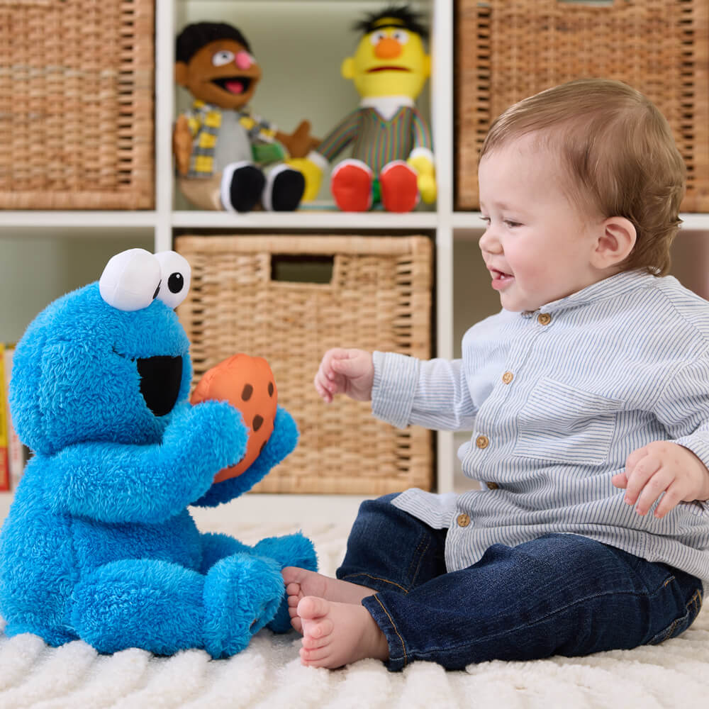 SESAME STREET ANIMATED PEEK-A-BOO COOKIE MONSTER