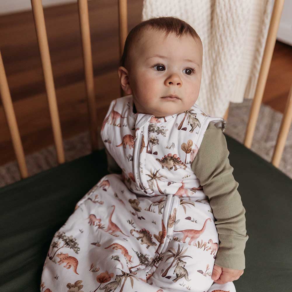 Snuggle Hunny Dino Organic Sleeping Bag 2.5 Tog