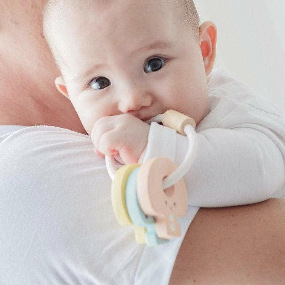PlanToys Baby Keys Rattle - Pastel
