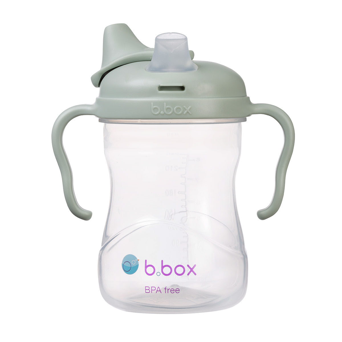B.Box Spout Cup