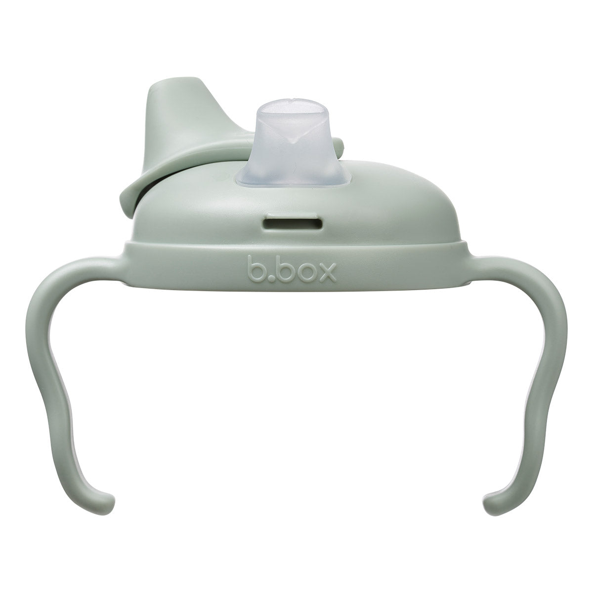 B.Box Spout Cup