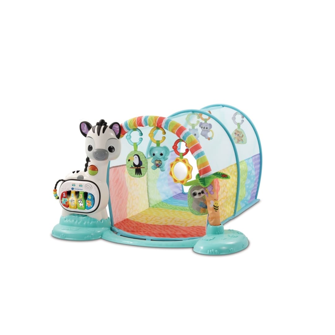 VTech 6 in 1 Playtime Tunnel