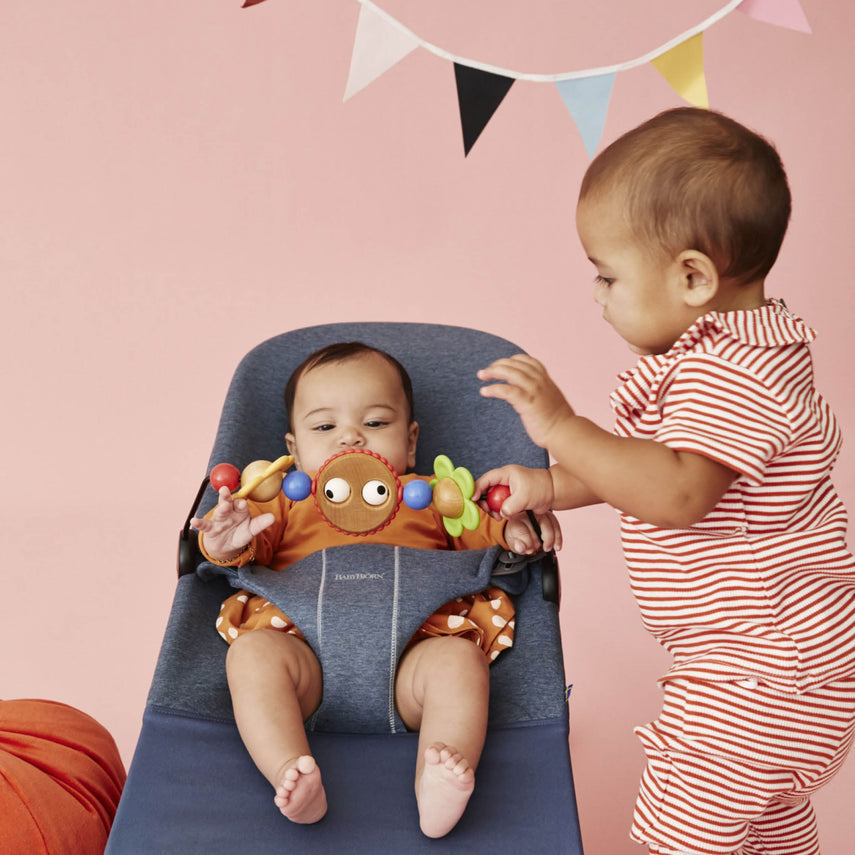 Baby Bjorn Toy for Bouncer - Various Colour Options