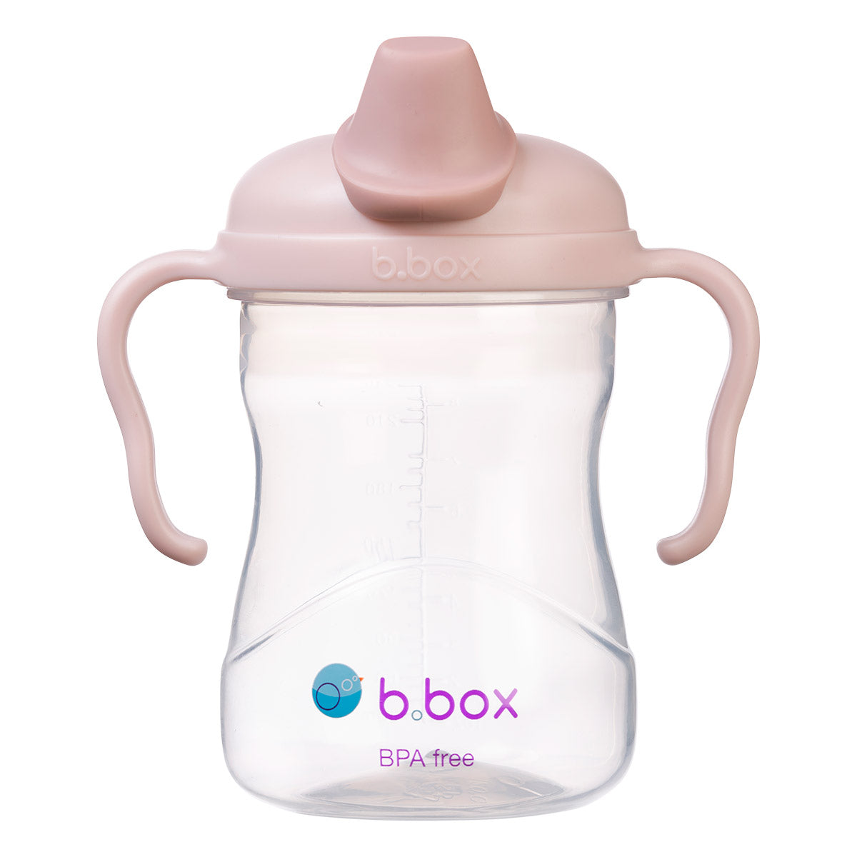 B.Box Spout Cup