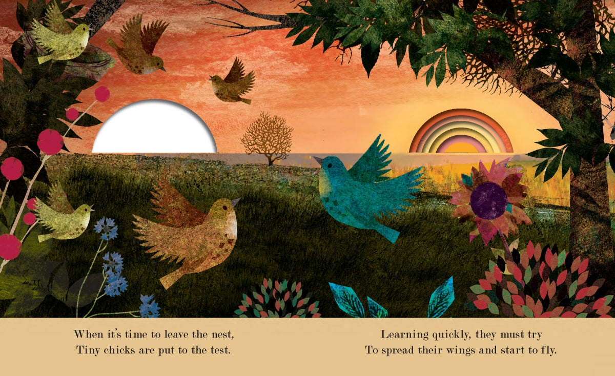 Family Book By Britta Teckentrup