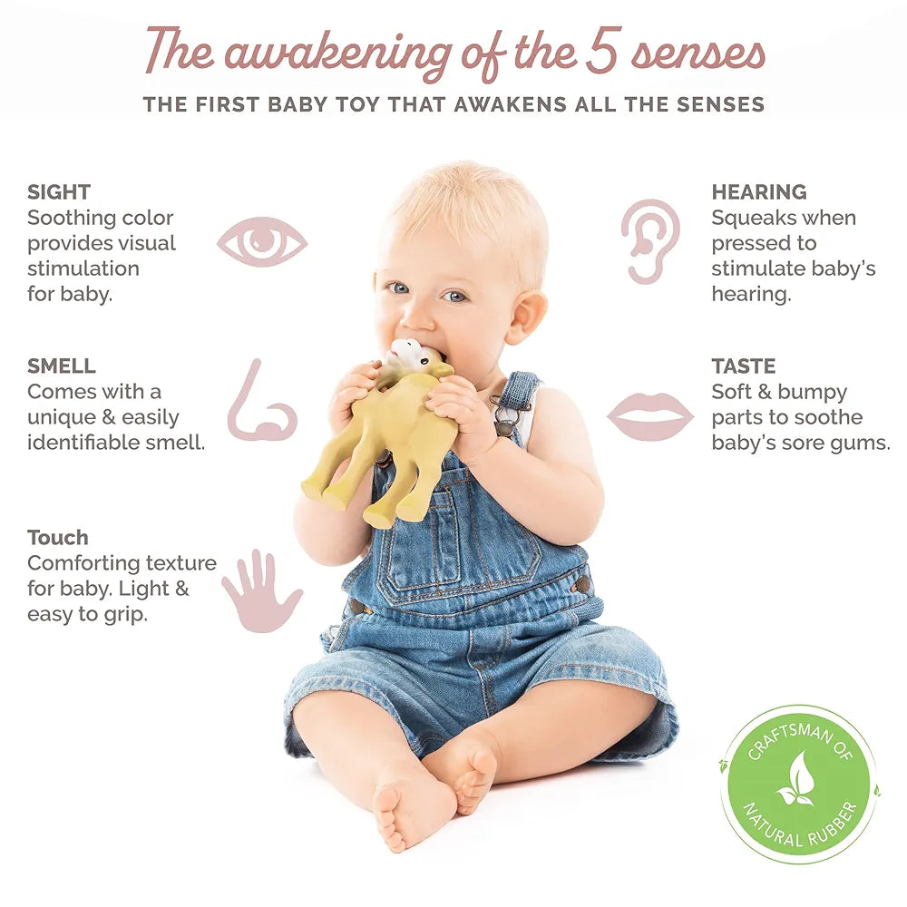 Sophie La Giraffe - Al'thir The Camel Rubber Teether