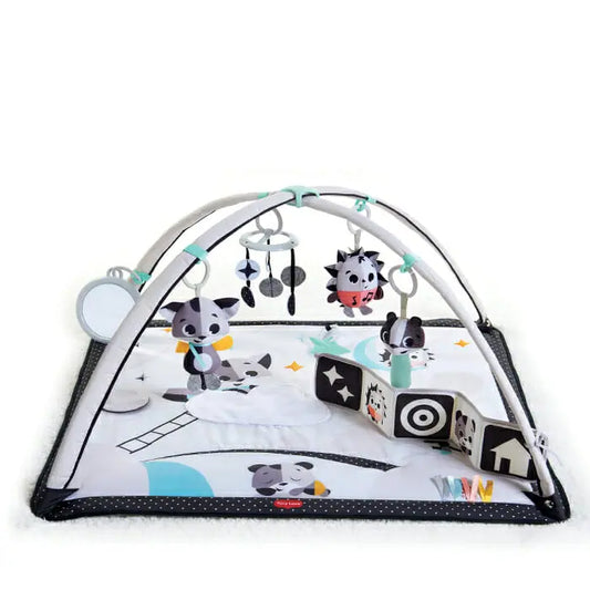 Tiny Love Magical Tales Gymini Baby High Contrast Play Gym