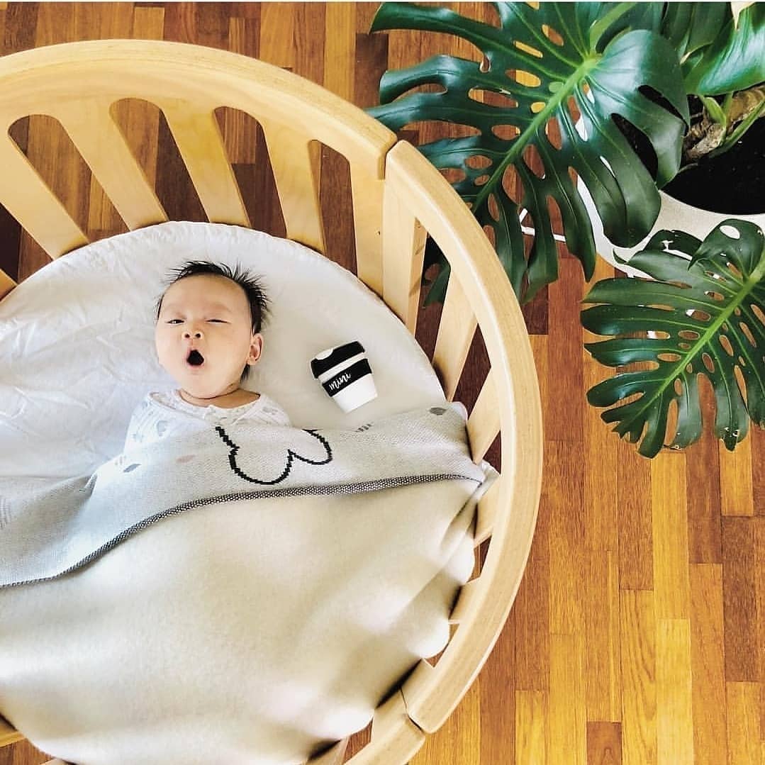 COCOON Nest Natural Convertible Cot Set Including the Australian Made Mattress Set