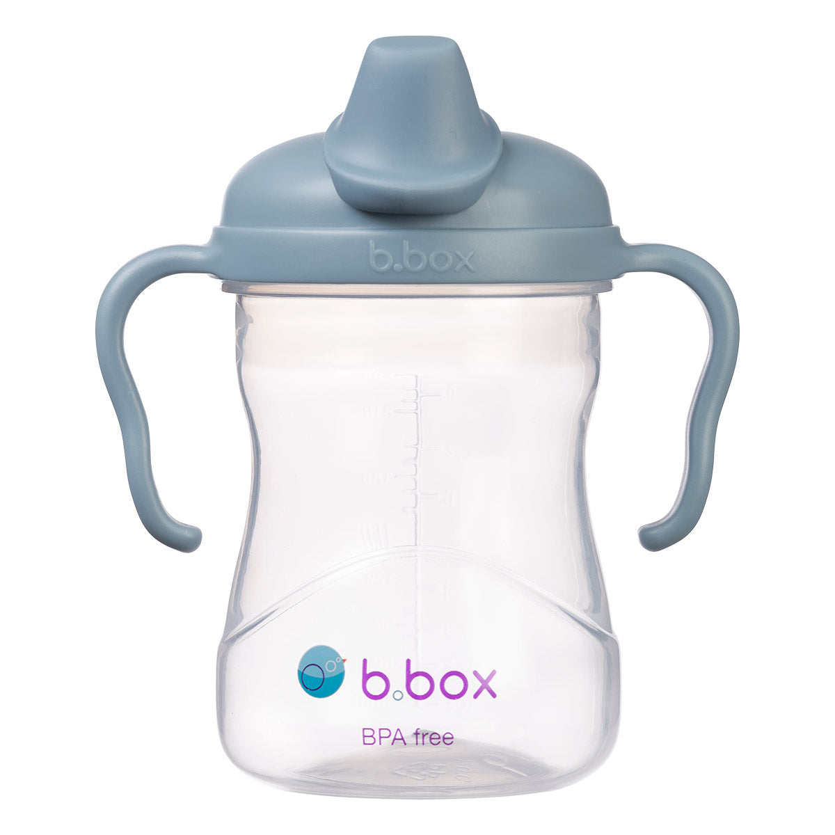 B.Box Spout Cup