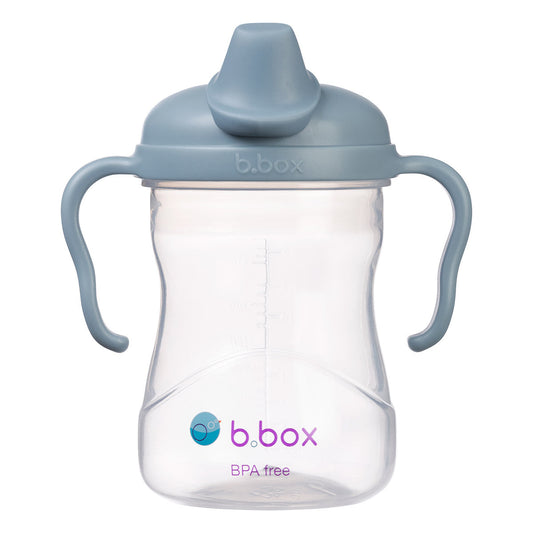 B.Box Spout Cup