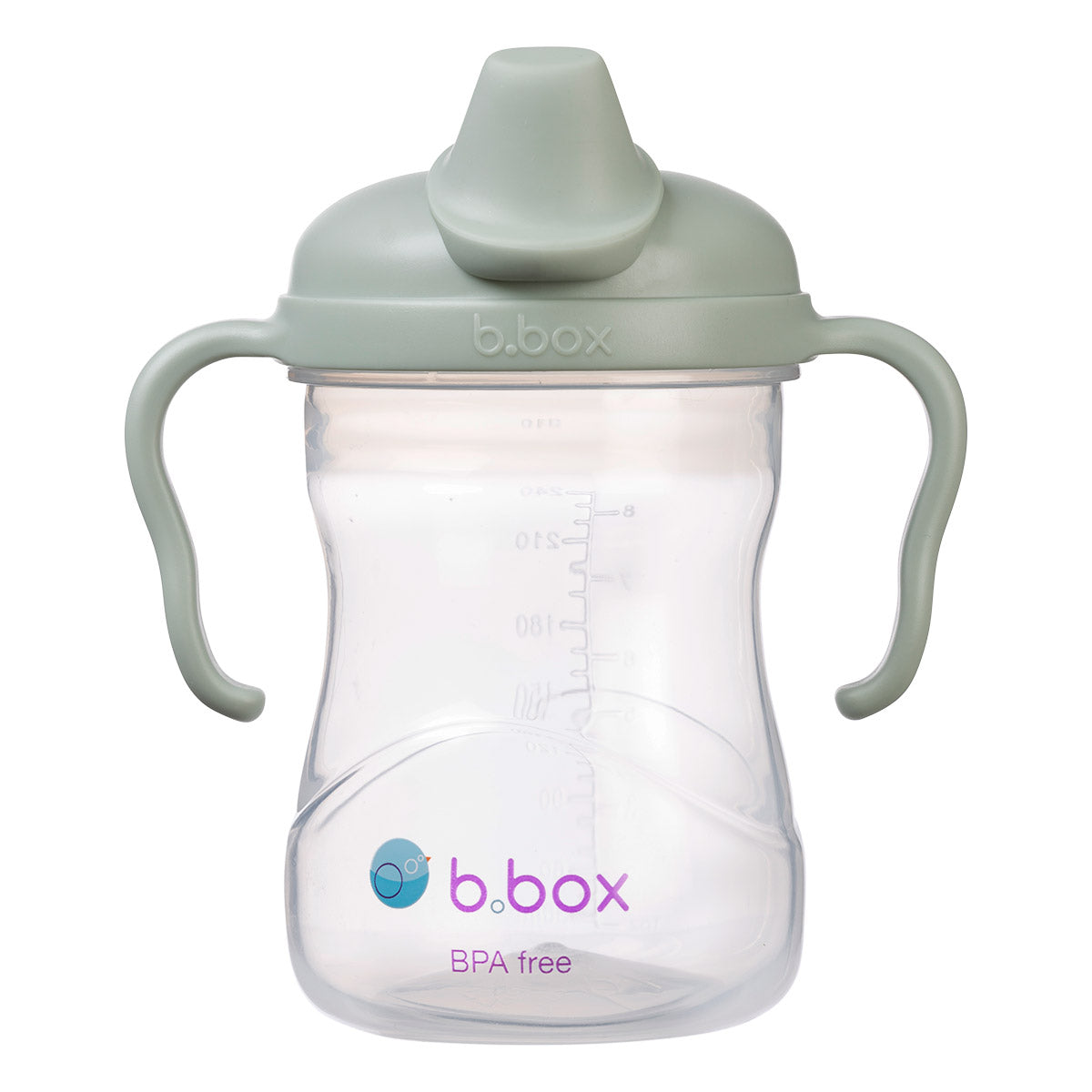 B.Box Spout Cup