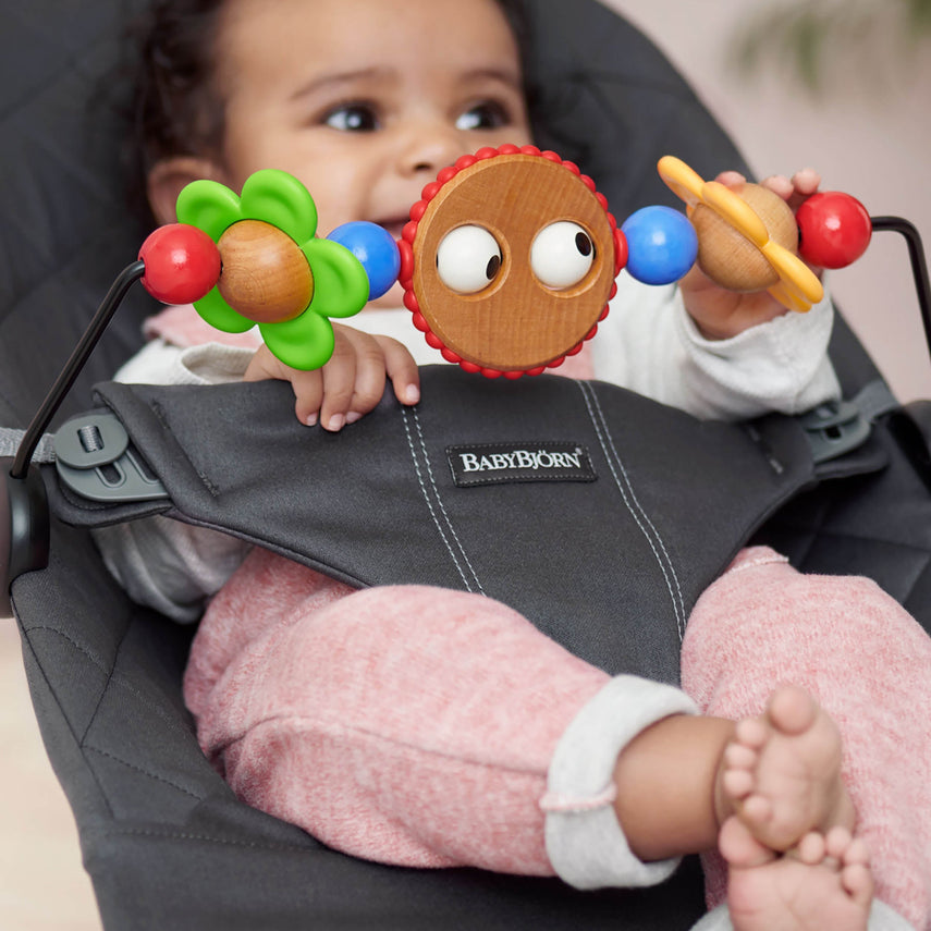 Baby Bjorn Toy for Bouncer - Various Colour Options