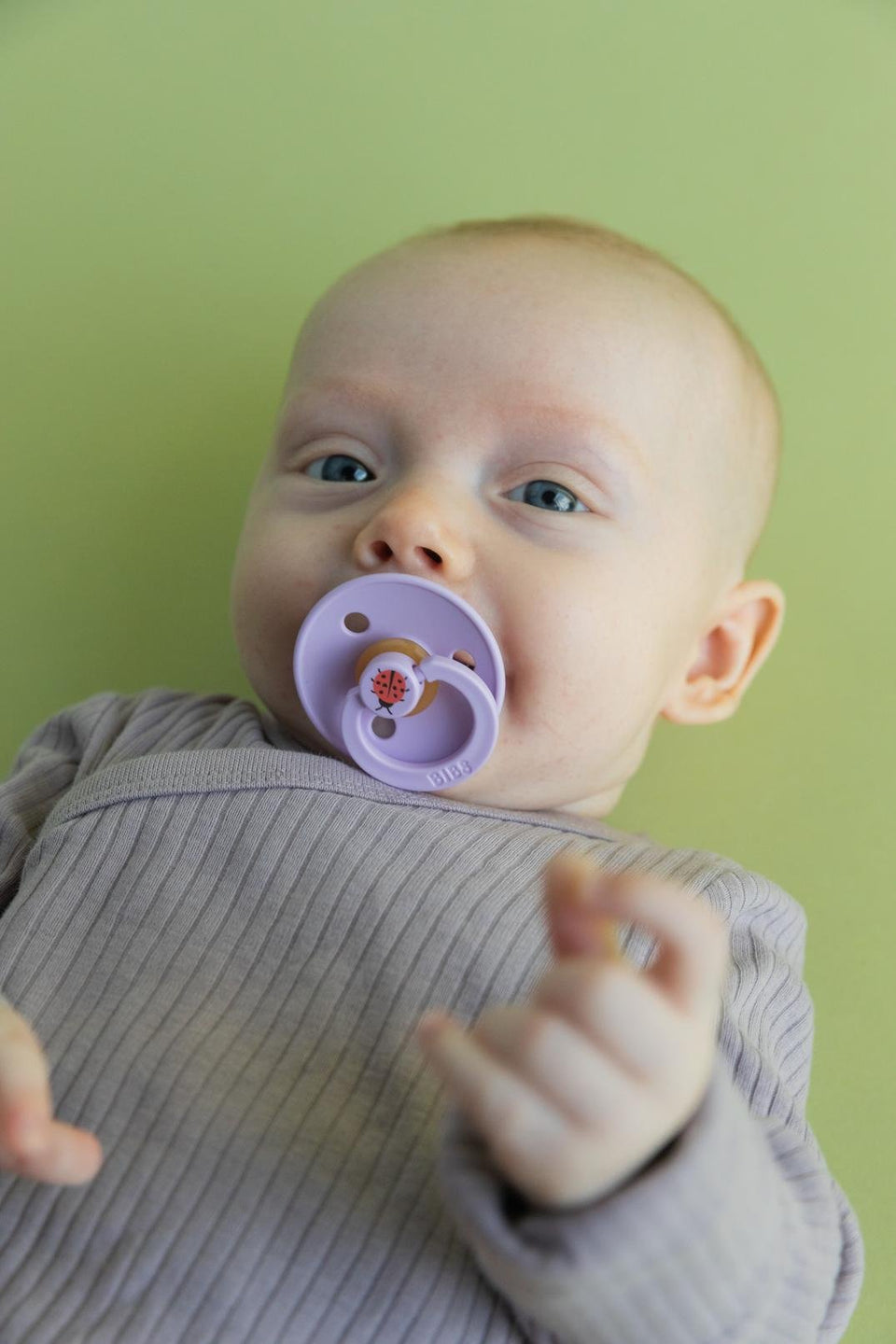 BIBS Urban Garden, Ladybug Violet Sky Mix Pacifiers