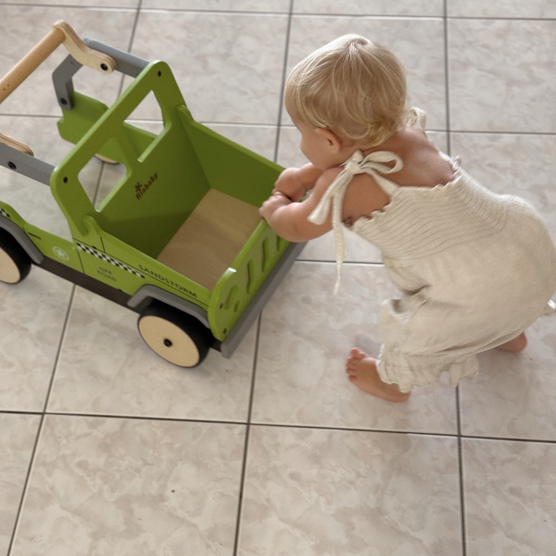 RiaBaby Sandstorm Cargo Walker