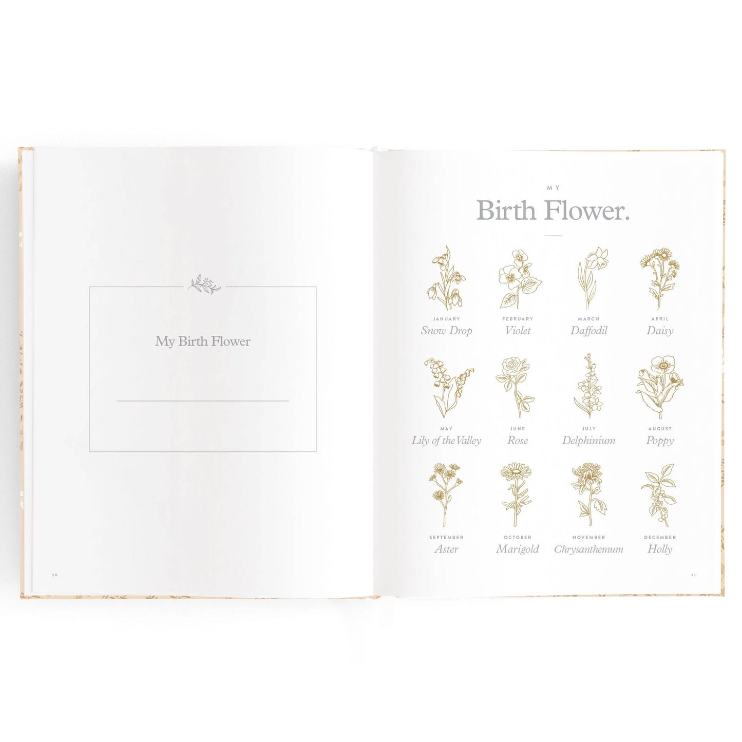 Baby Book Cedarwood