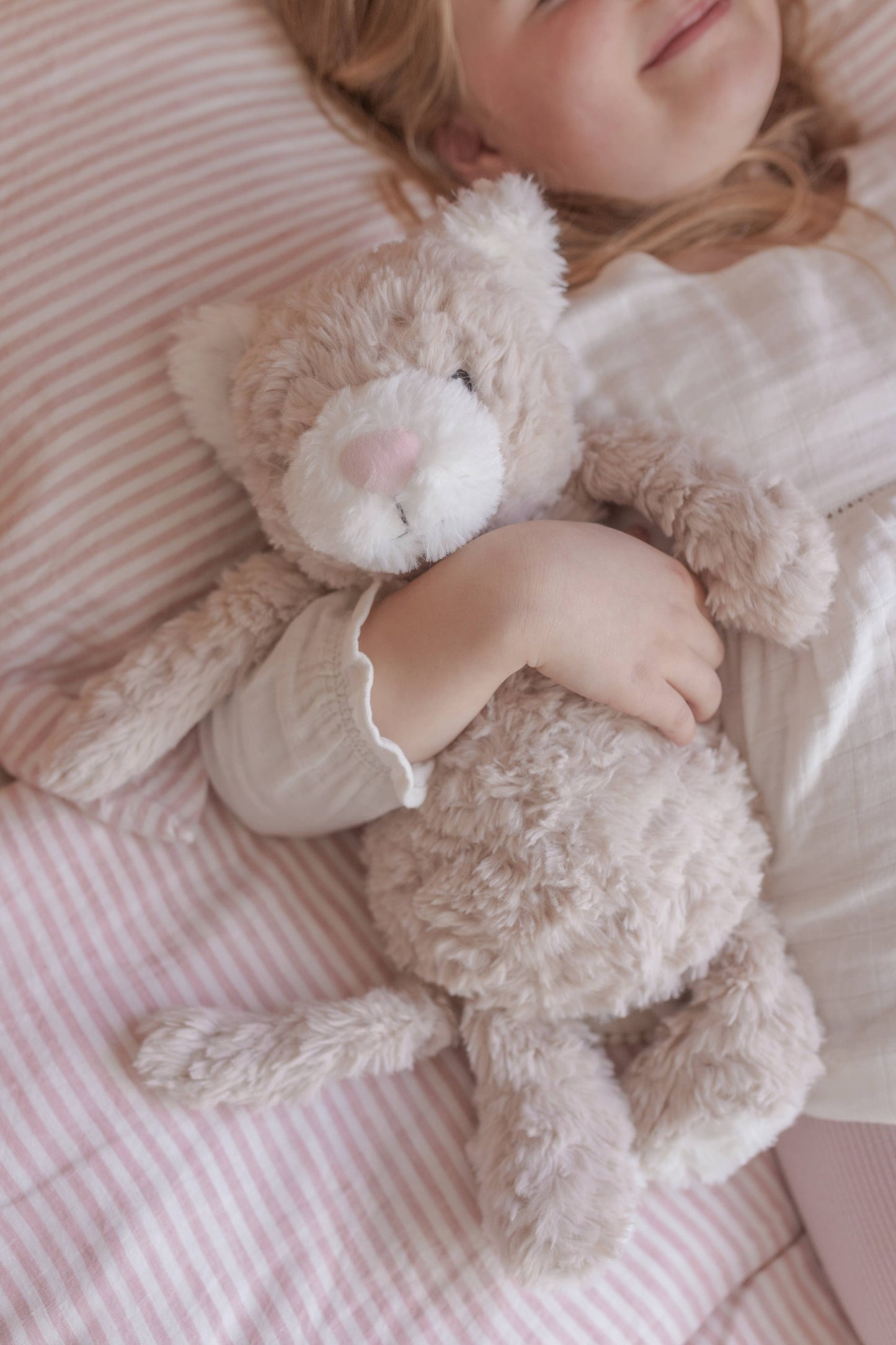 Pickles The Weighted Cat