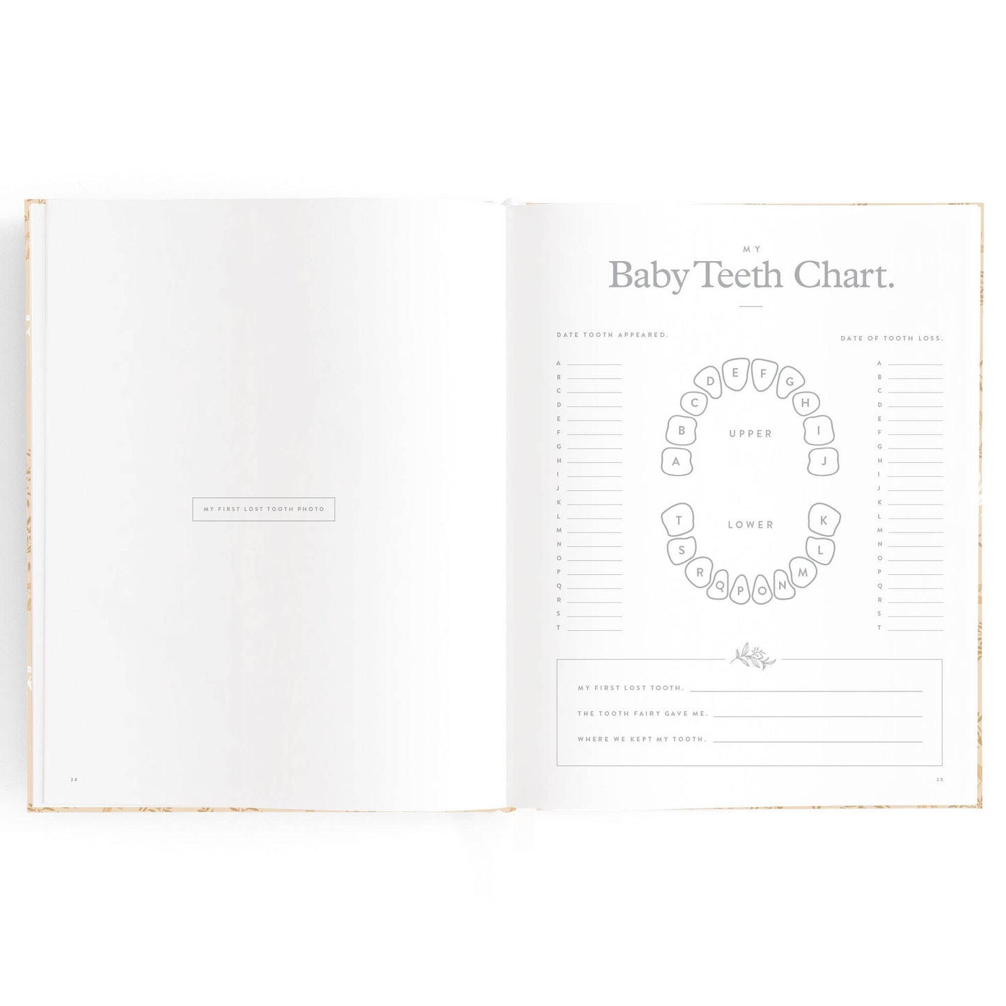 Baby Book Cedarwood