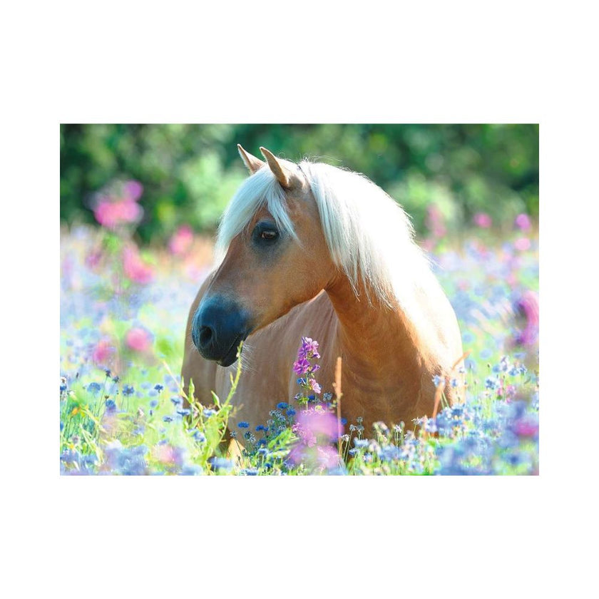 Ravensburger Wildflower Pony Puzzle 300pc