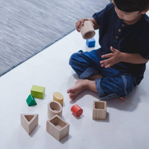 PlanToys - Geo Matching Building Boxes