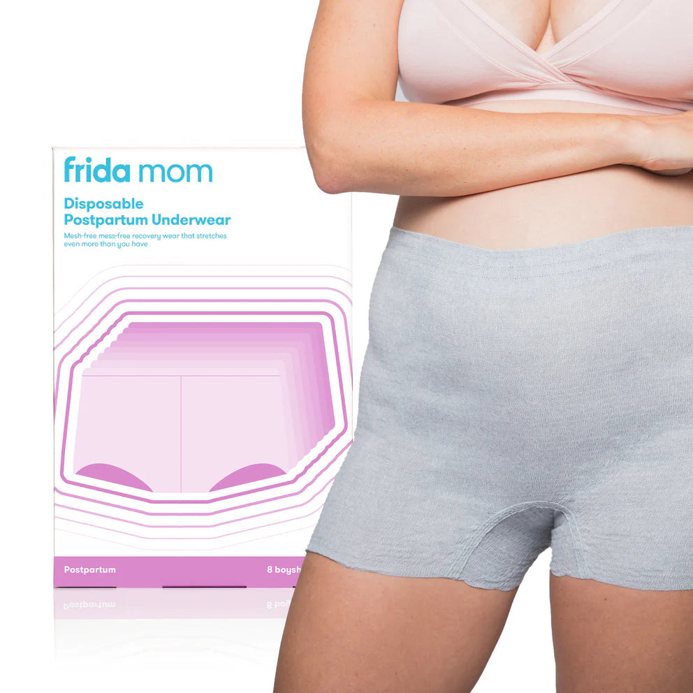 Frida Mom Disposable Boyshort Underwear