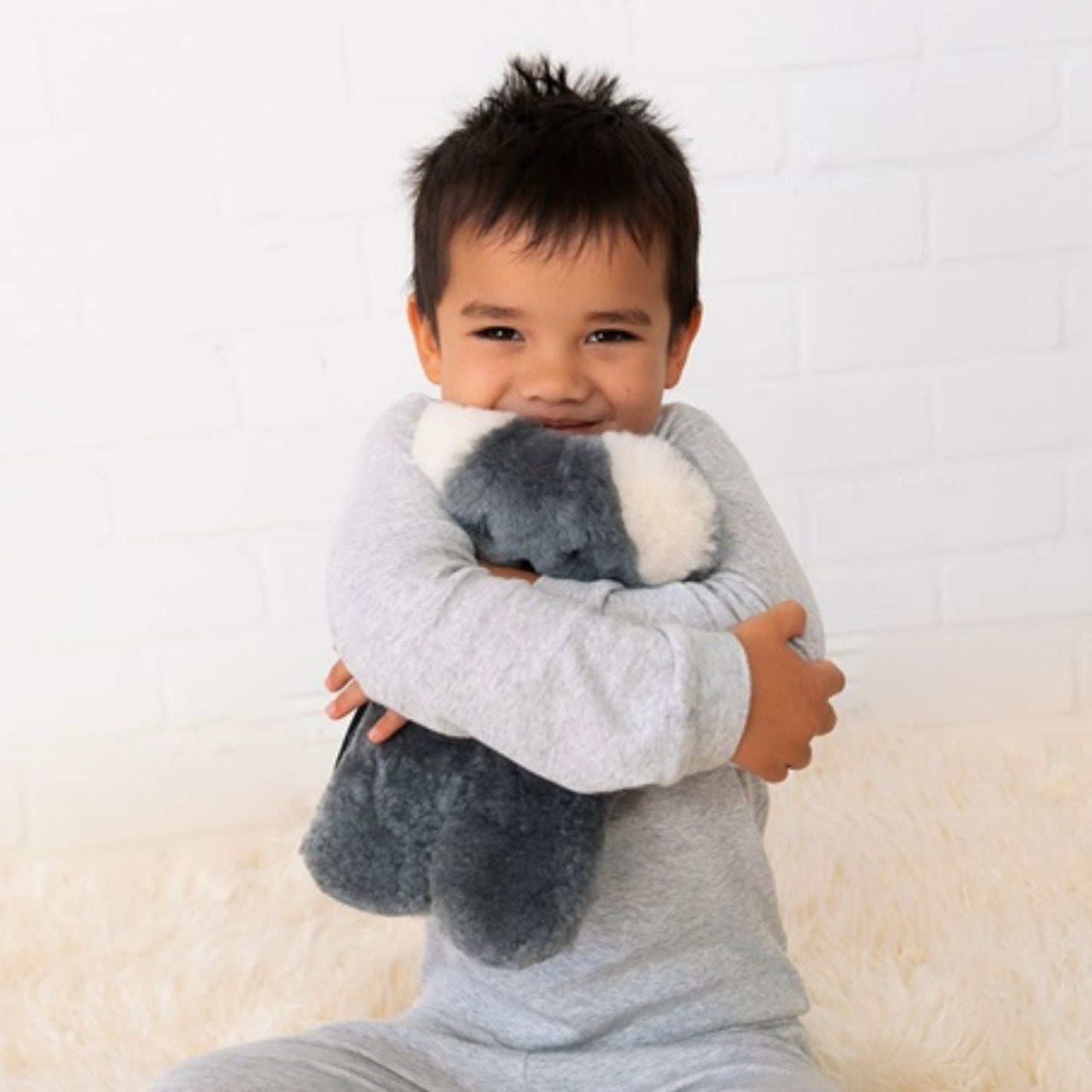 FLATOUTbear Koala