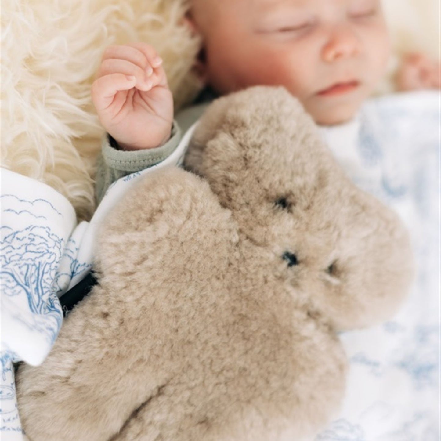 FLATOUTbear Baby Latte