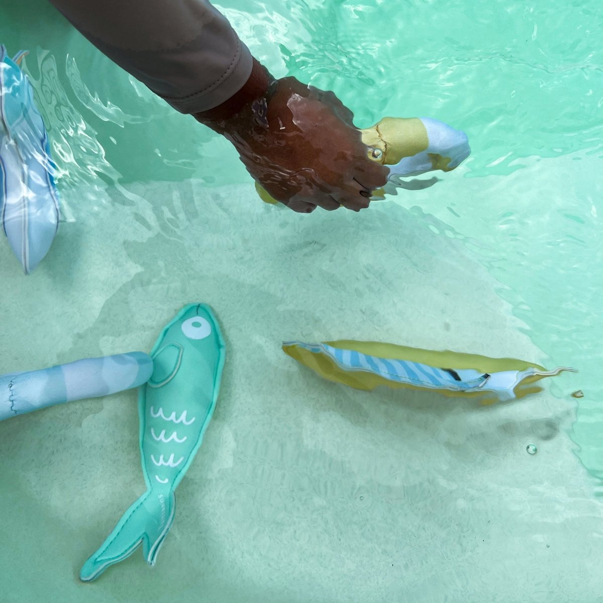 Sunnylife Dive Buddies Sammy the Seagull Multi Set of 6