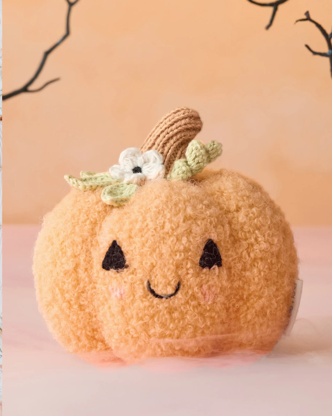 Cuddle + Kind Baby pumpkin (moonflower) Halloween