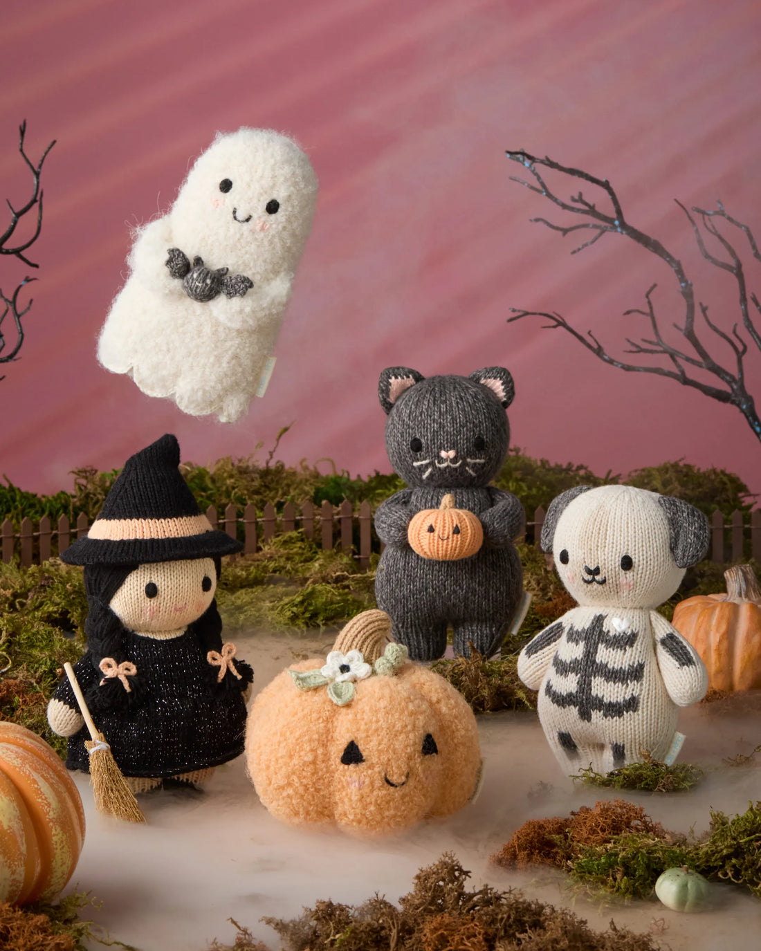 Cuddle + Kind Baby pumpkin (moonflower) Halloween