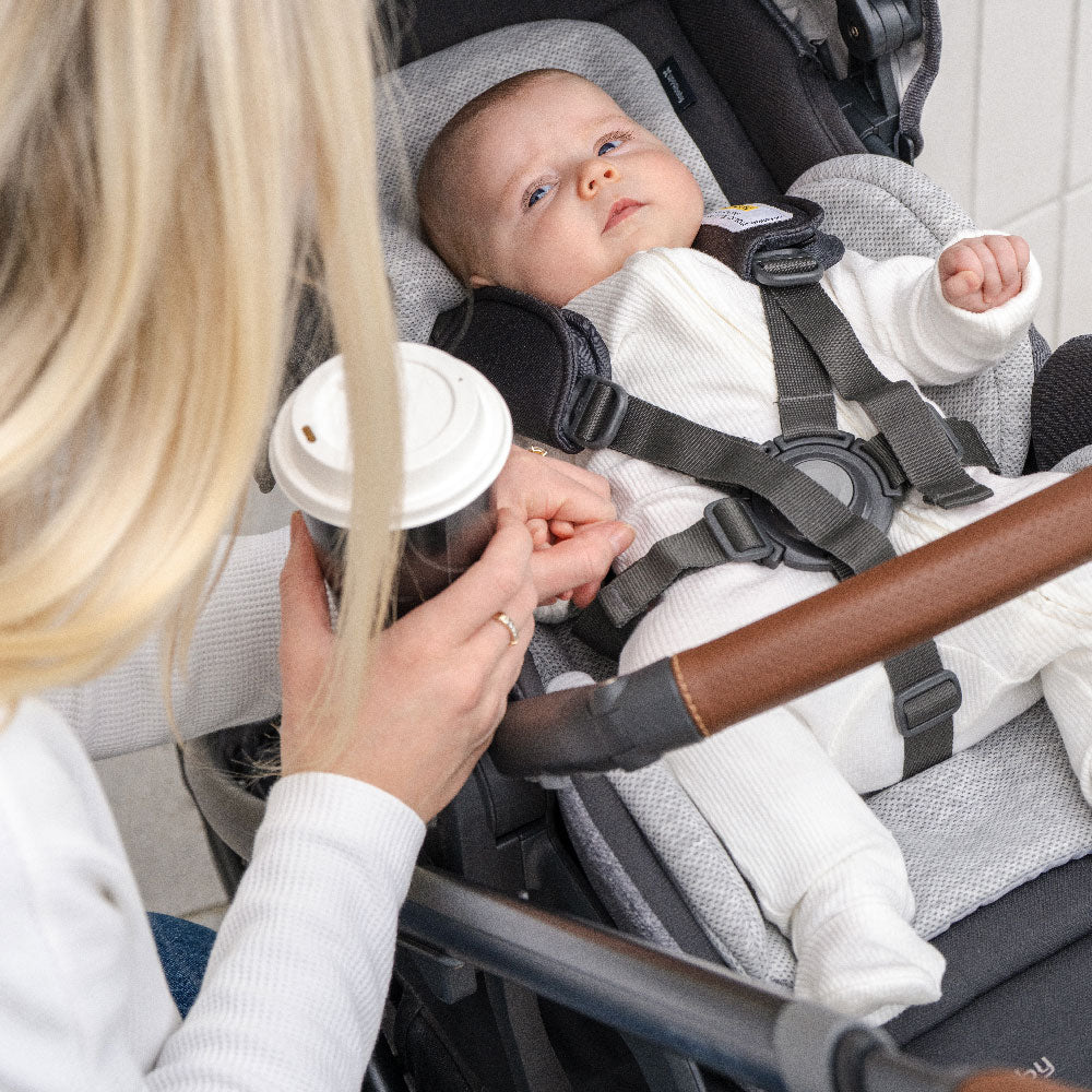 UPPAbaby Cruz V3 Pram - Evelyn
(Meadow Green) + FREE PARENT ORGANISER