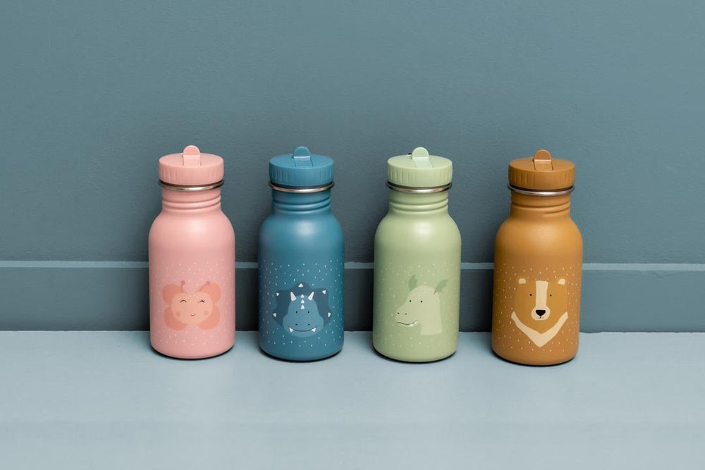 Trixie Stainless Steel Water Bottle 350ml