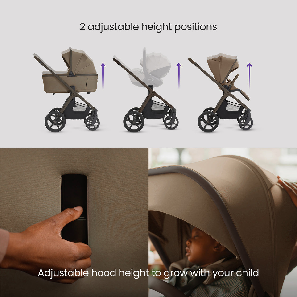 Cove 2 Maple with Carrycot (6 piece) PRE-ORDER