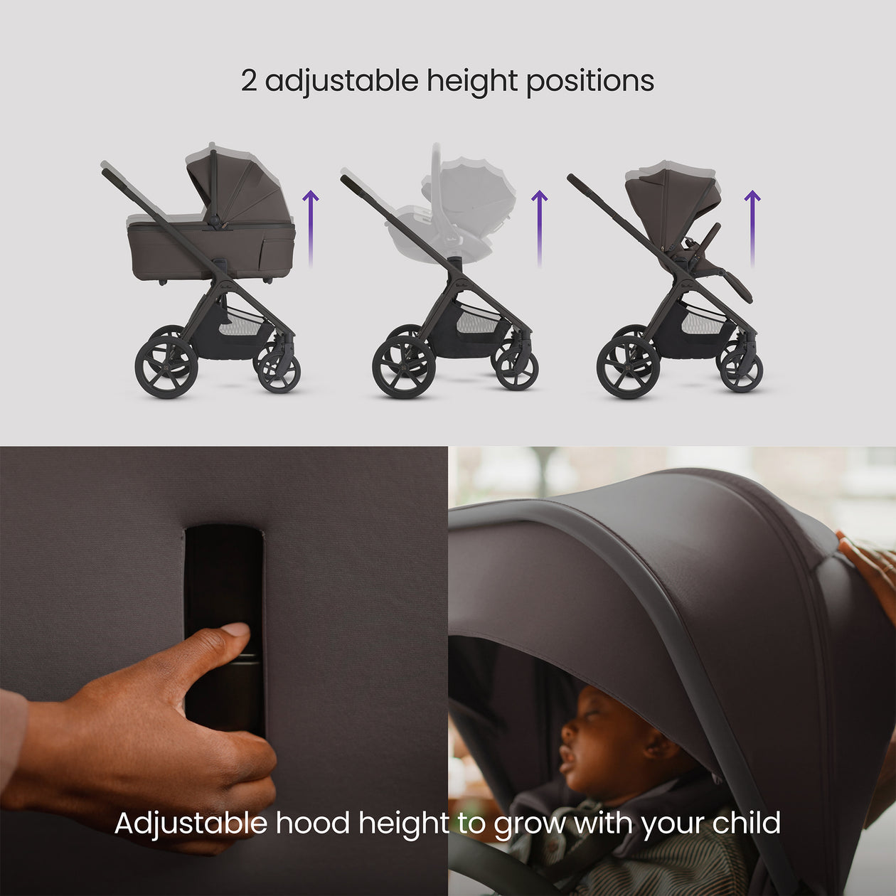 Cove 2 Chocolate with Carrycot (6 piece) PRE-ORDER