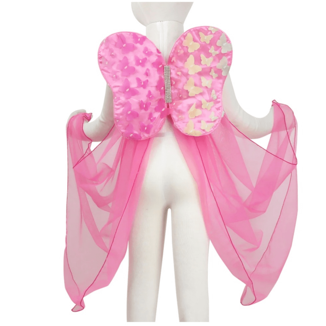 Rainbow Butterfly Dress Up Soft Wings