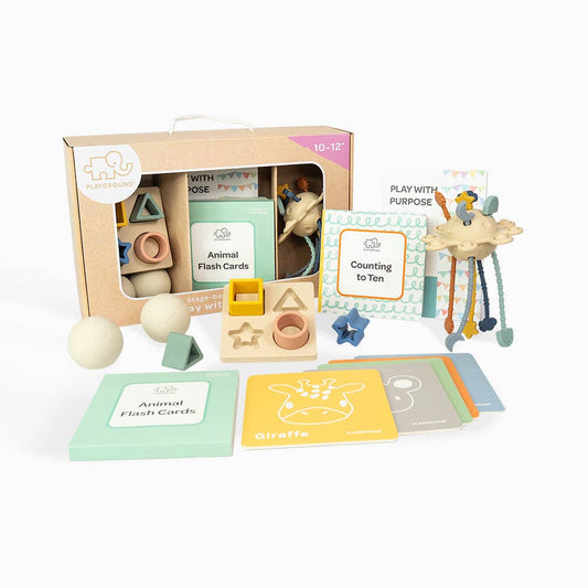 Playground Box 4: Play with Purpose (10-12M)