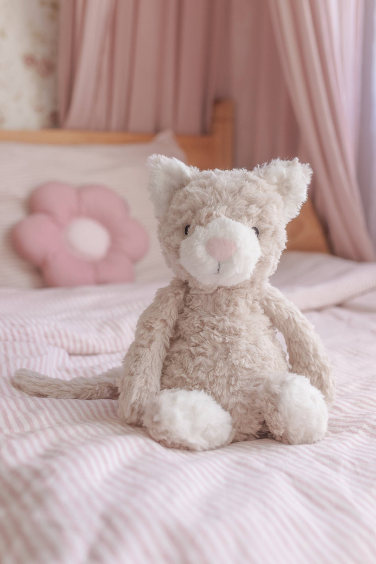 Pickles The Weighted Cat