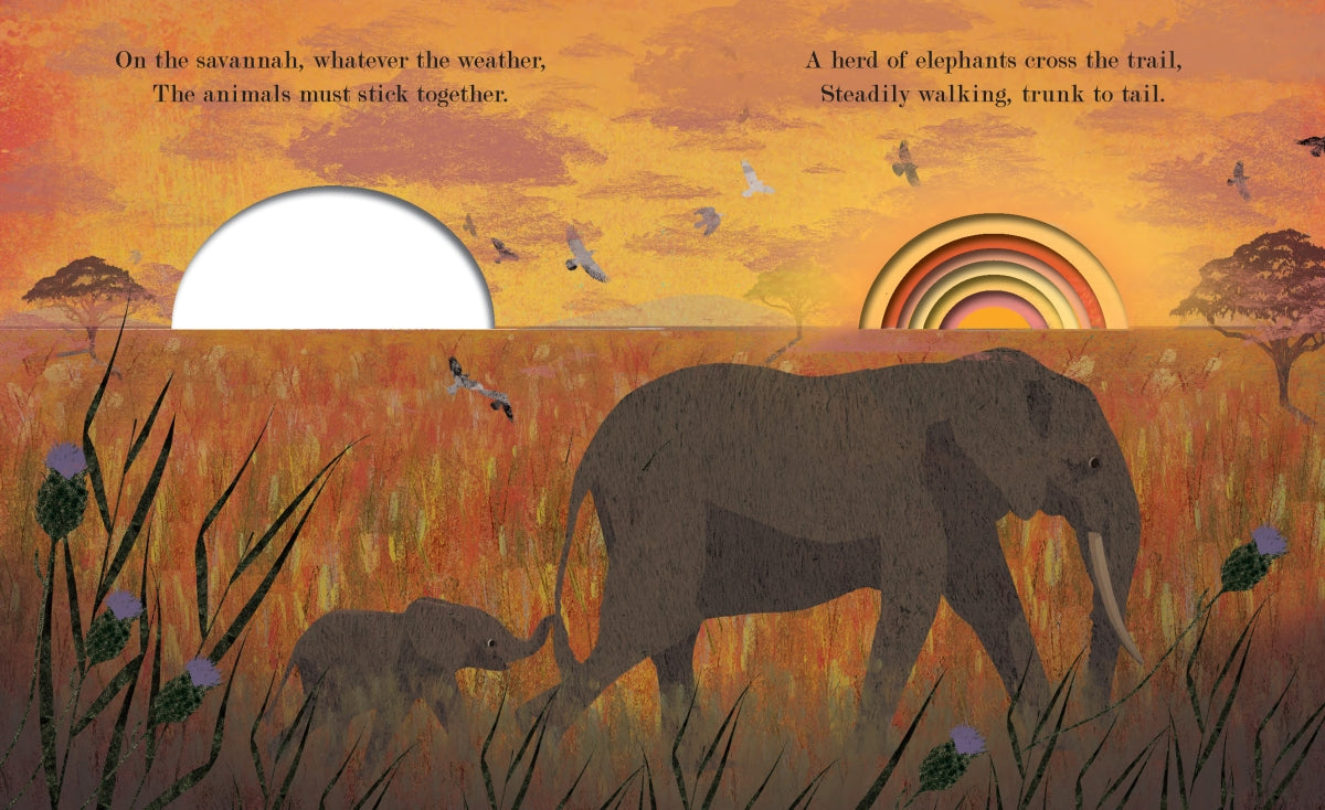 Family Book By Britta Teckentrup