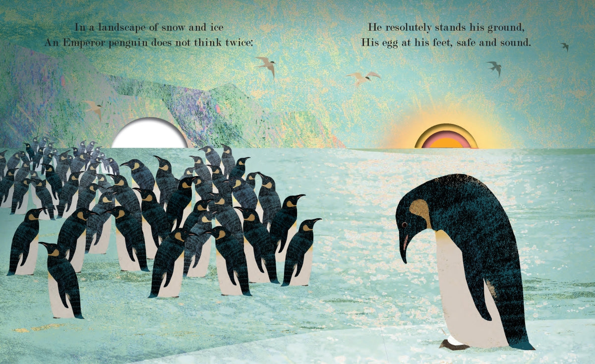 Family Book By Britta Teckentrup