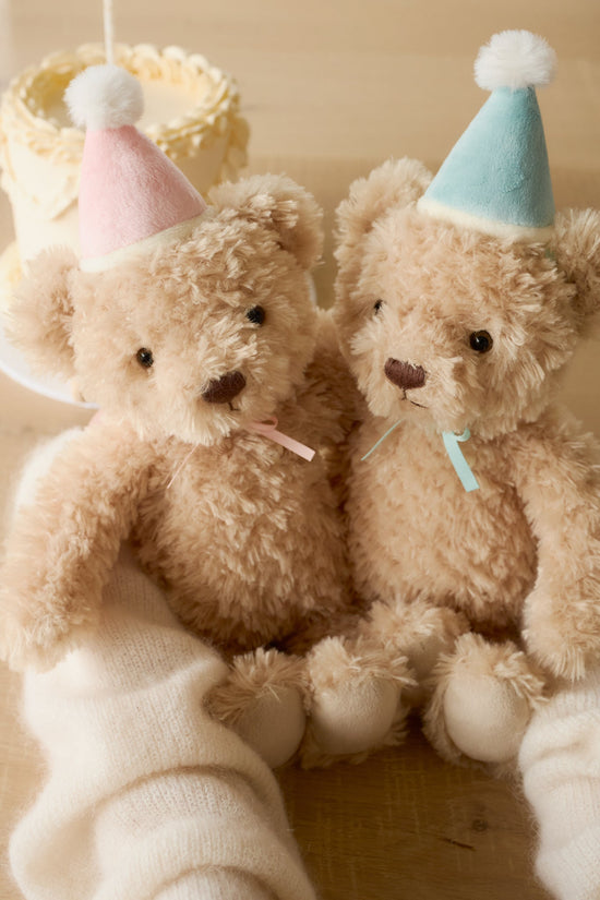 Snuggle Bunnies - Birthday Bear Arthur - Sky