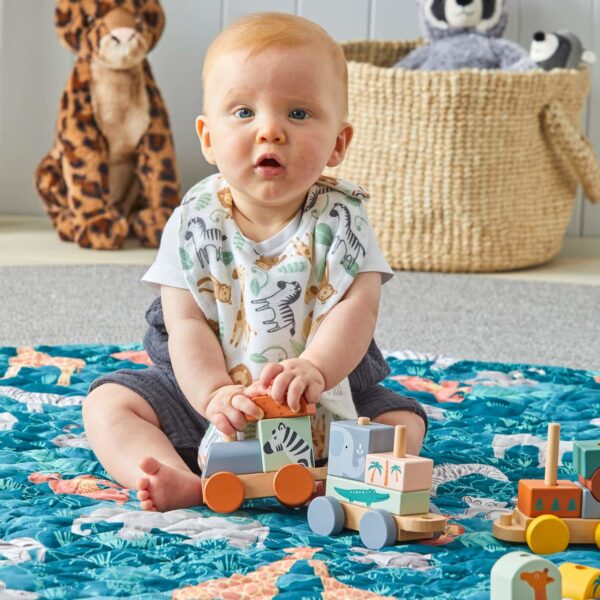 Zookabee Animal Wooden Train Set